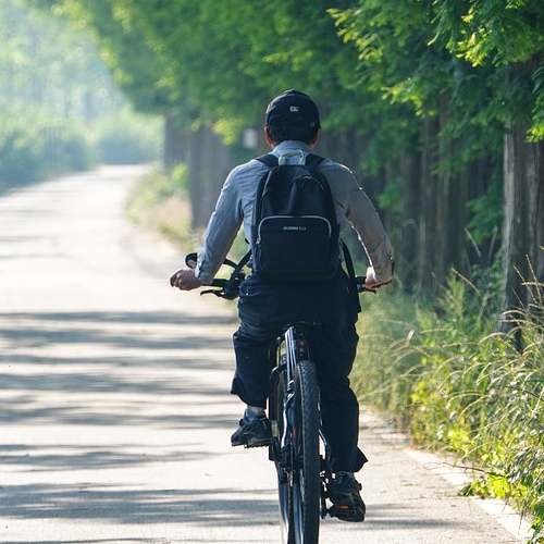 건강보험공단 EDI: 보험료 신고에서 요양급여 조회까지 쉽게 이용하는 방법