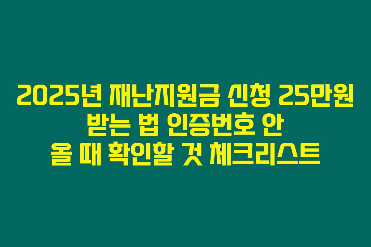 2025년 재난지원금 신청 25만원 받는 법 인증번호 안 올 때 확인할 것 체크리스트