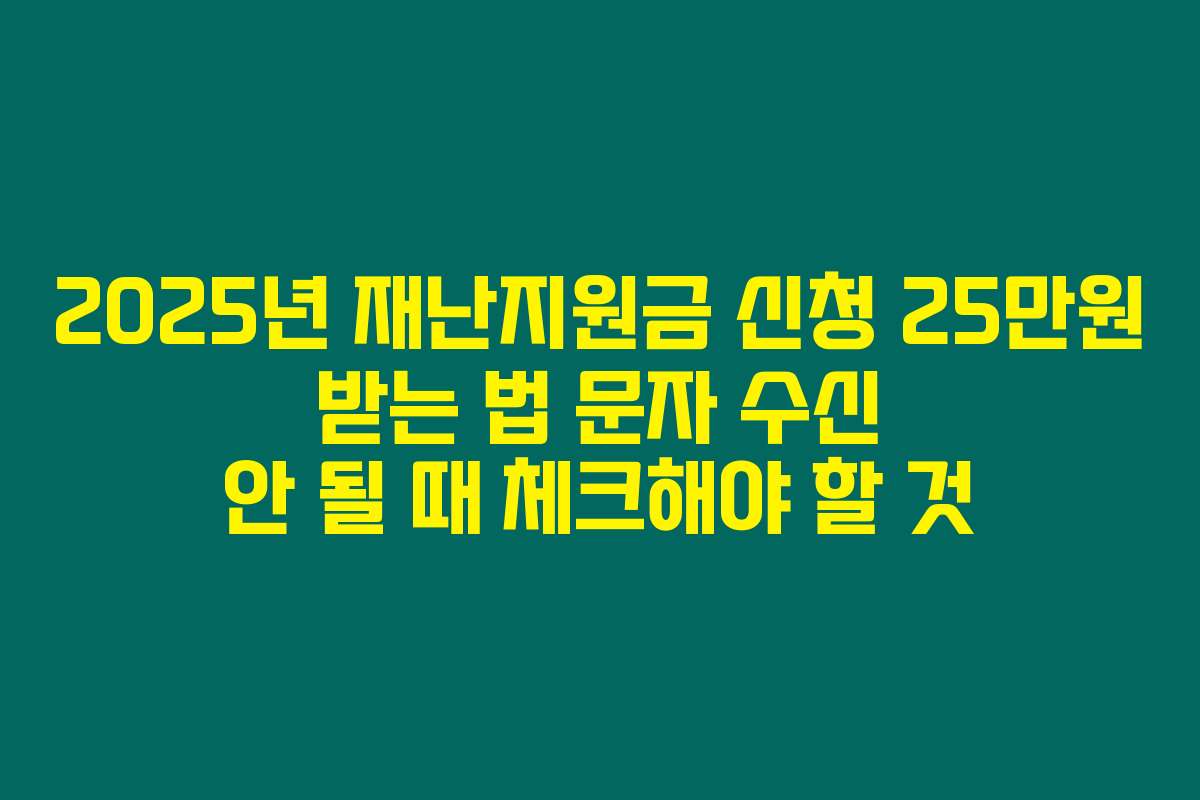2025년 재난지원금 신청 25만원 받는 법 문자 수신 안 될 때 체크해야 할 것