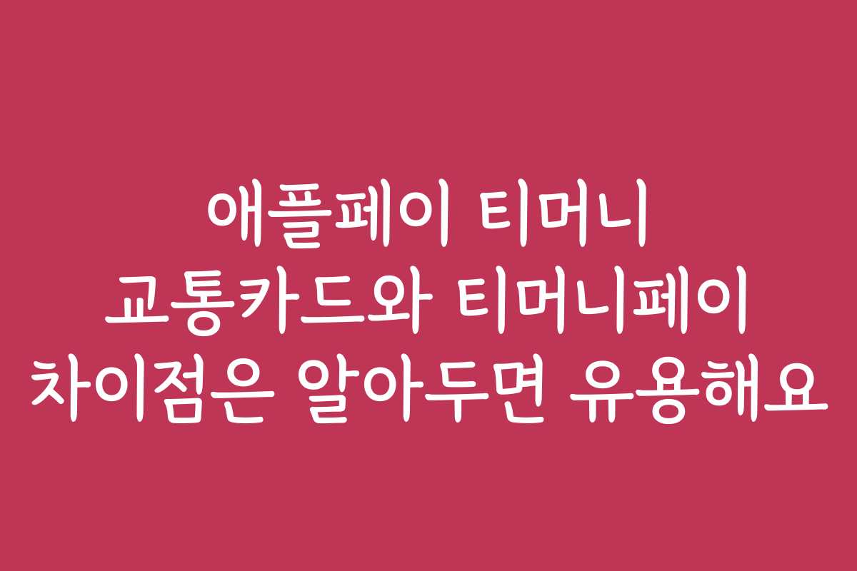 애플페이 티머니 교통카드와 티머니페이 차이점은 알아두면 유용해요