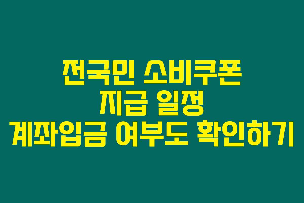 전국민 소비쿠폰 지급 일정 계좌입금 여부도 확인하기
