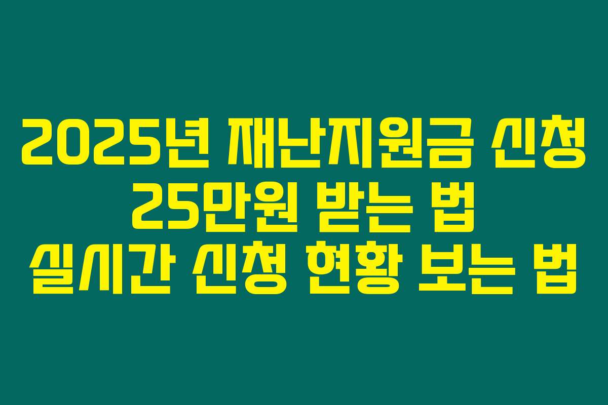 2025년 재난지원금 신청 25만원 받는 법 실시간 신청 현황 보는 법
