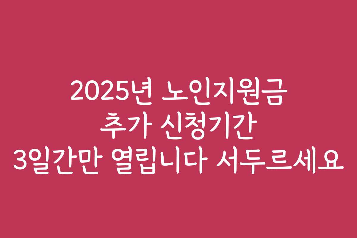 2025년 노인지원금 추가 신청기간 3일간만 열립니다 서두르세요