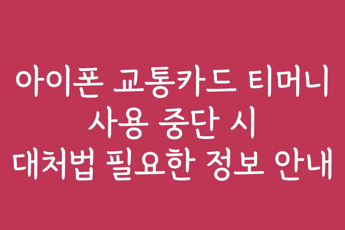 아이폰 교통카드 티머니 사용 중단 시 대처법 필요한 정보 안내