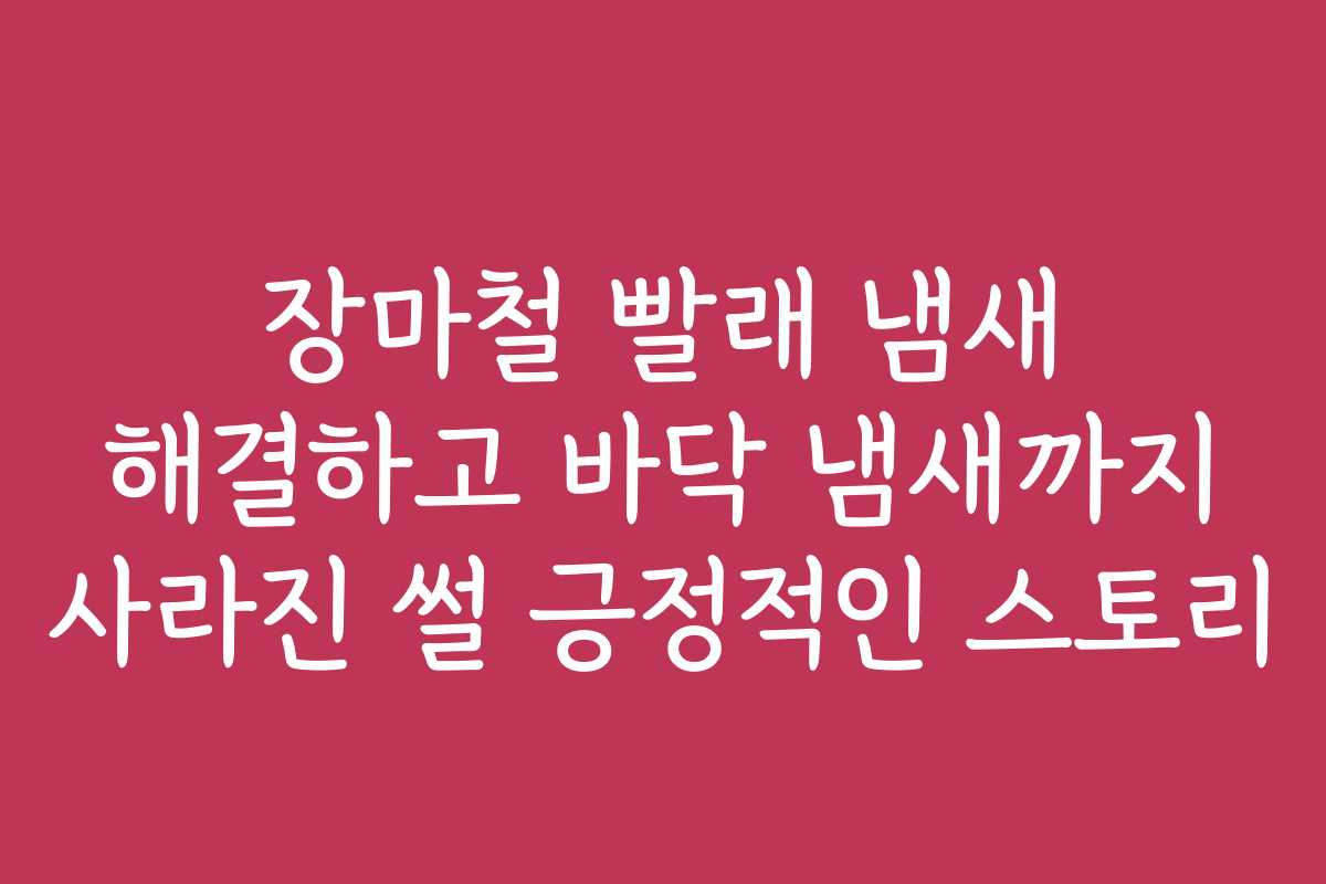 장마철 빨래 냄새 해결하고 바닥 냄새까지 사라진 썰 긍정적인 스토리
