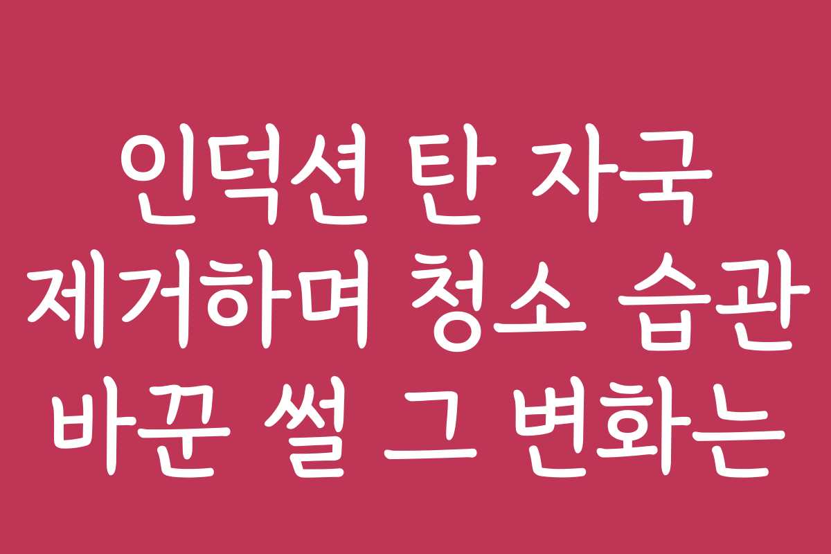 인덕션 탄 자국 제거하며 청소 습관 바꾼 썰 그 변화는