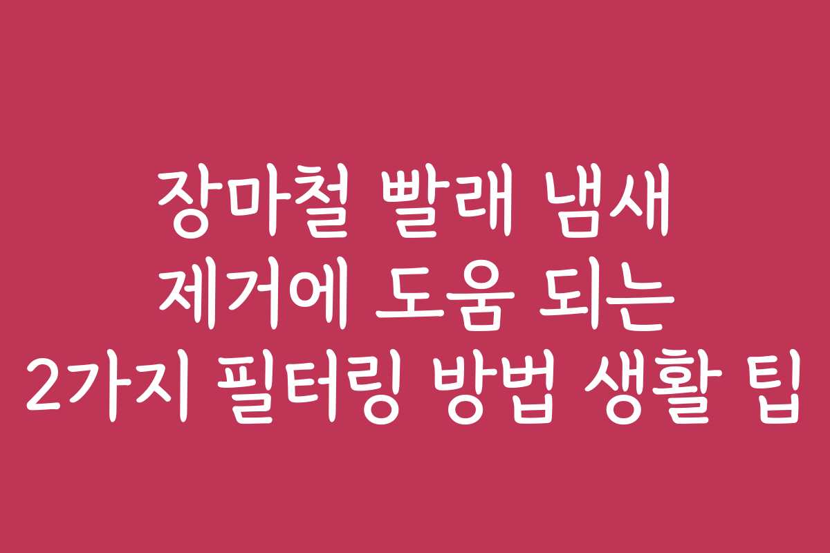 장마철 빨래 냄새 제거에 도움 되는 2가지 필터링 방법 생활 팁