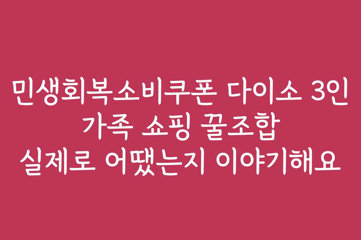 민생회복소비쿠폰 다이소 3인 가족 쇼핑 꿀조합 실제로 어땠는지 이야기해요