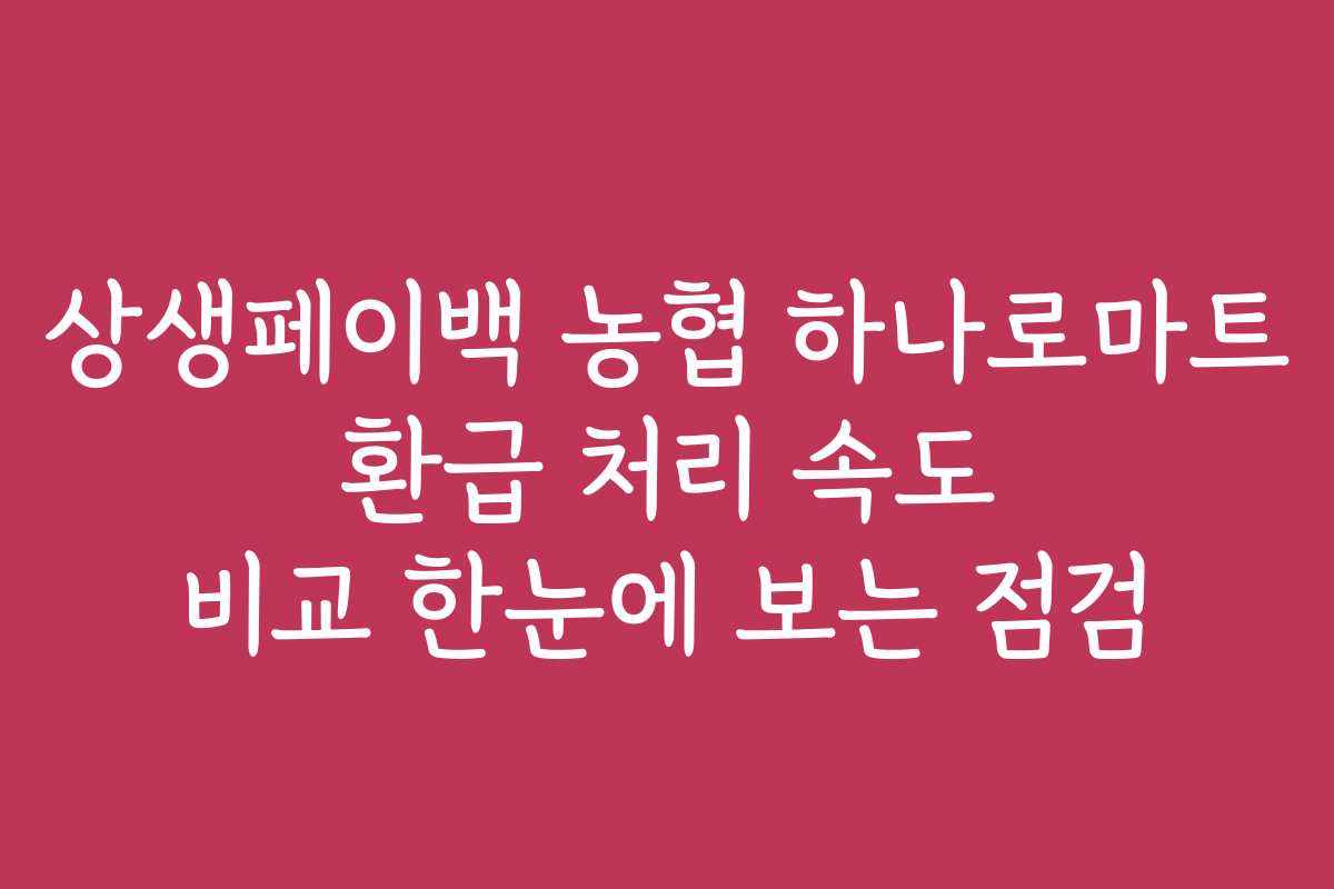 상생페이백 농협 하나로마트 환급 처리 속도 비교 한눈에 보는 점검