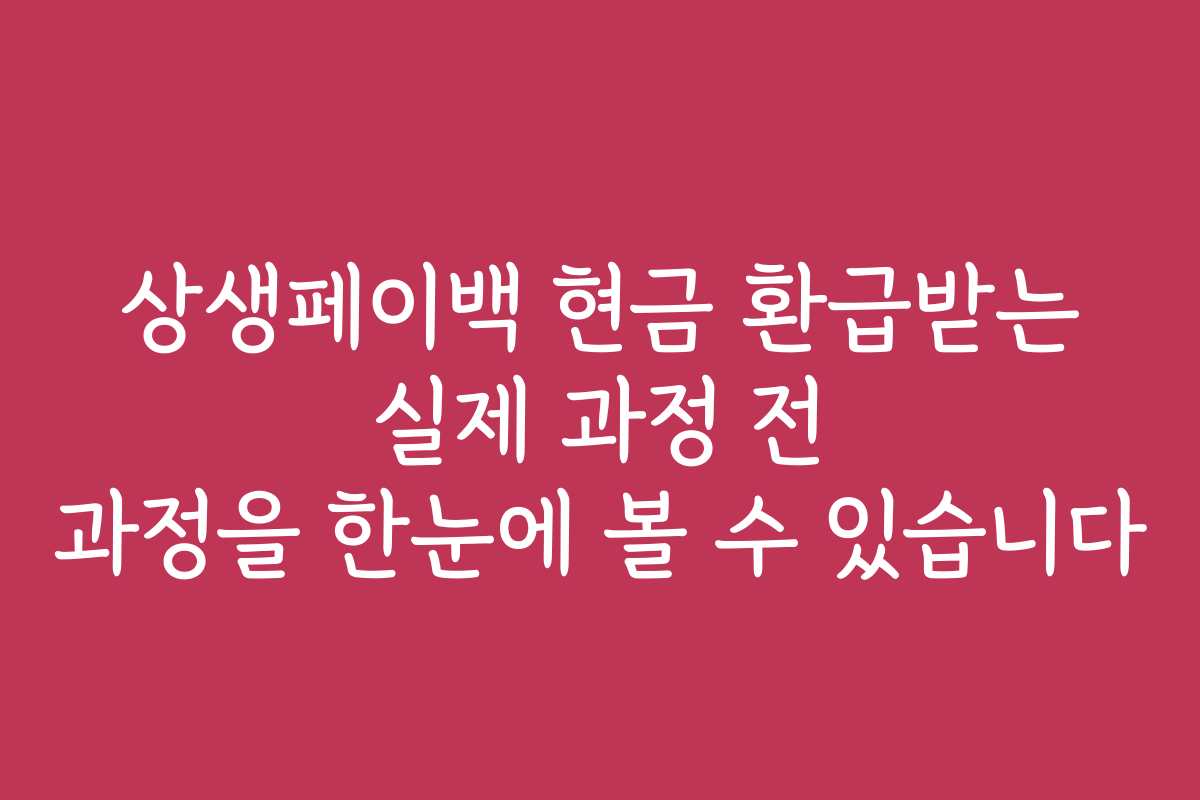 상생페이백 현금 환급받는 실제 과정 전 과정을 한눈에 볼 수 있습니다