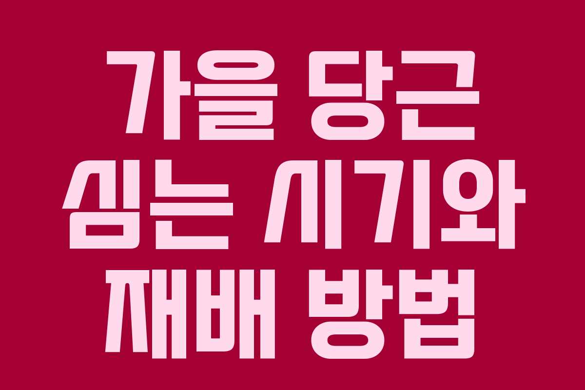 가을 당근 심는 시기와 재배 방법