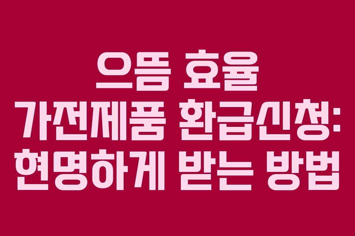 으뜸 효율 가전제품 환급신청: 현명하게 받는 방법