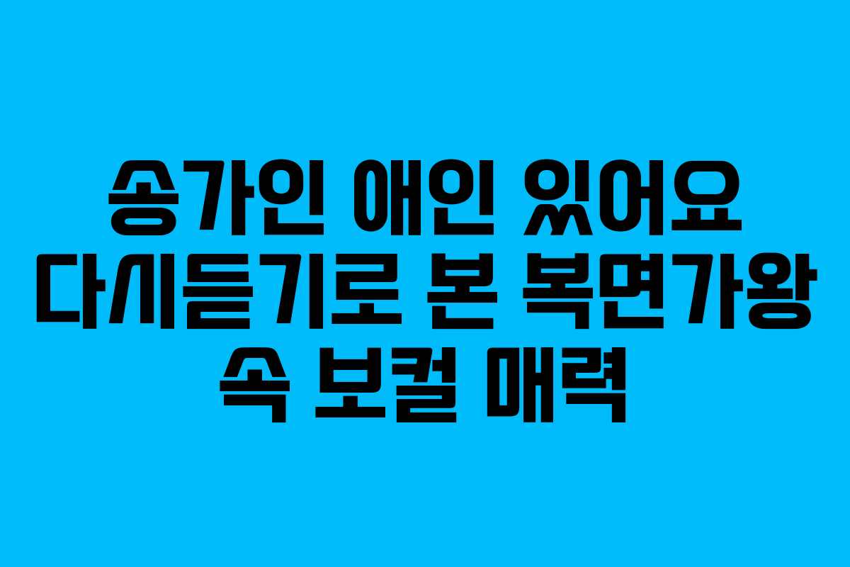 송가인 애인 있어요 다시듣기로 본 복면가왕 속 보컬 매력