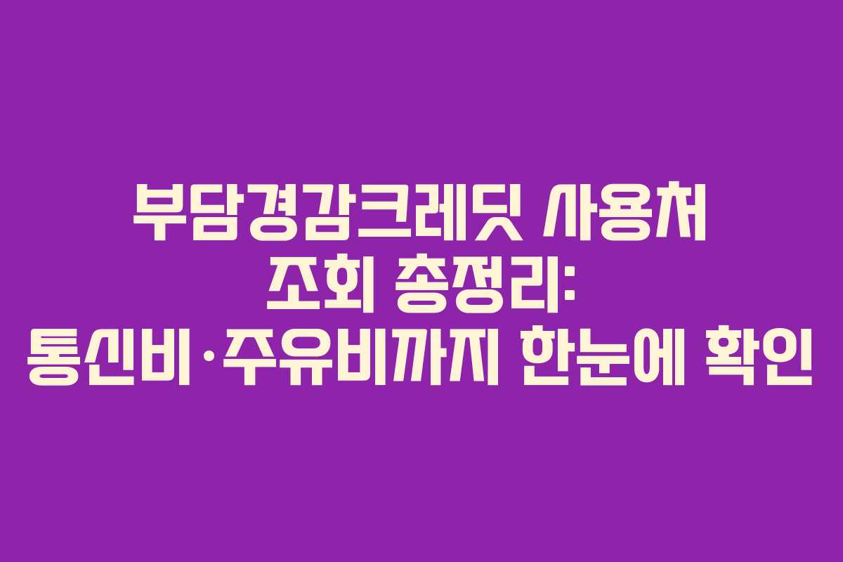 부담경감크레딧 사용처 조회 총정리: 통신비·주유비까지 한눈에 확인