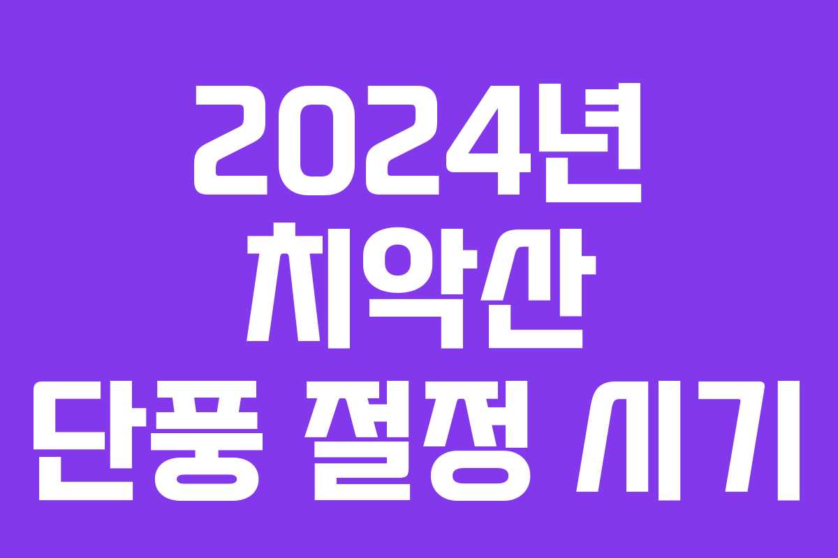 2024년 치악산 단풍 절정 시기