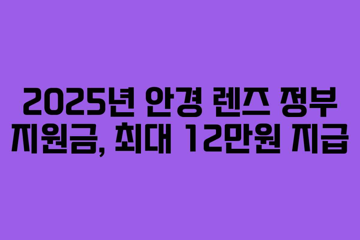 2025년 안경 렌즈 정부 지원금, 최대 12만원 지급 2025년 안경 렌즈 정부 지원금, 최대 12만원 지급