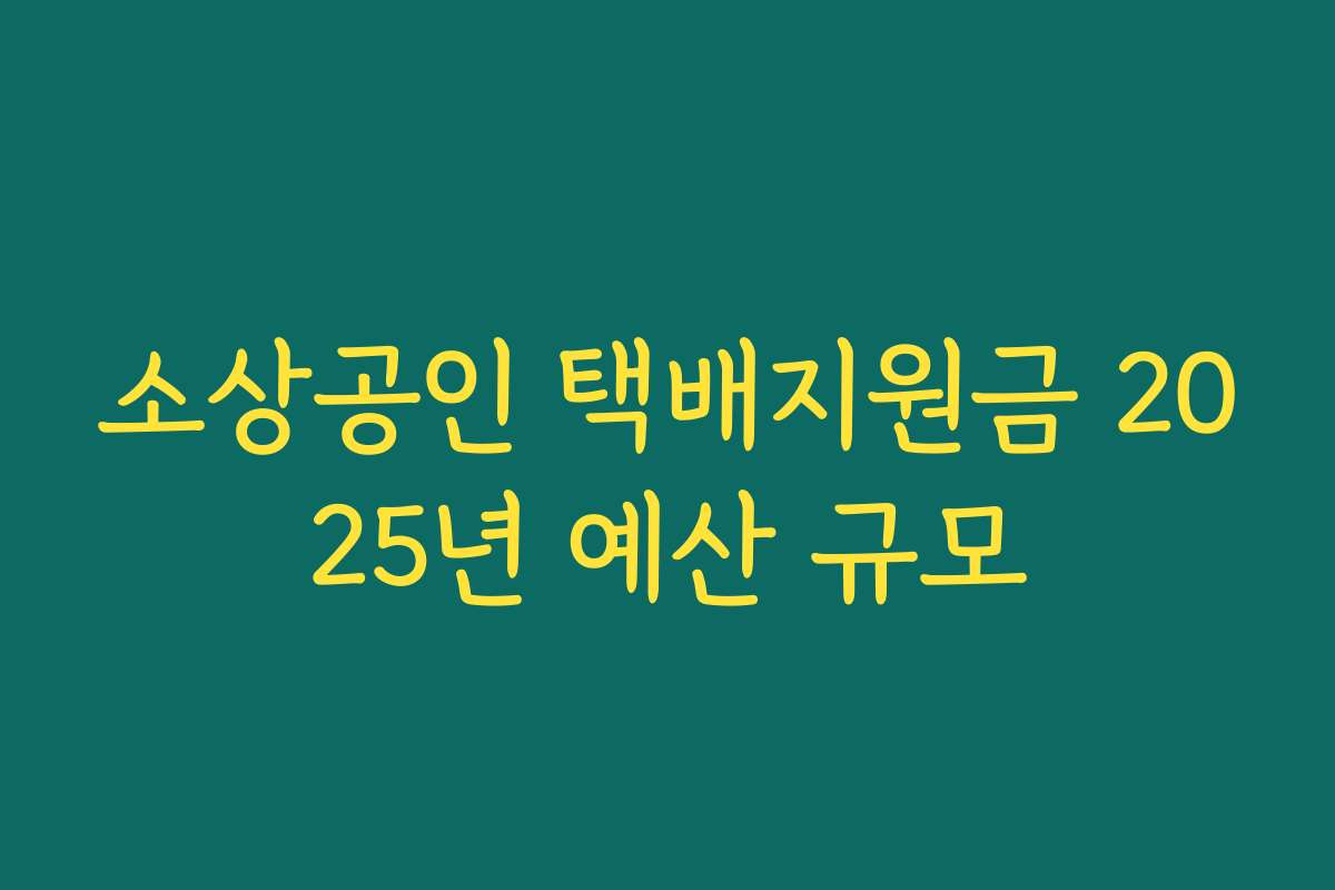 소상공인 택배지원금 2025년 예산 규모