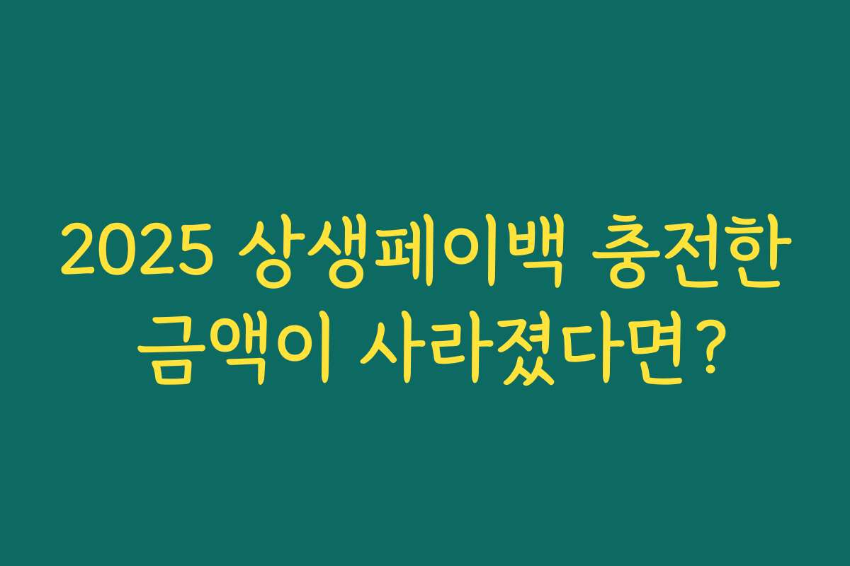 2025 상생페이백 충전한 금액이 사라졌다면? 2025 상생페이백 충전한 금액이 사라졌다면?