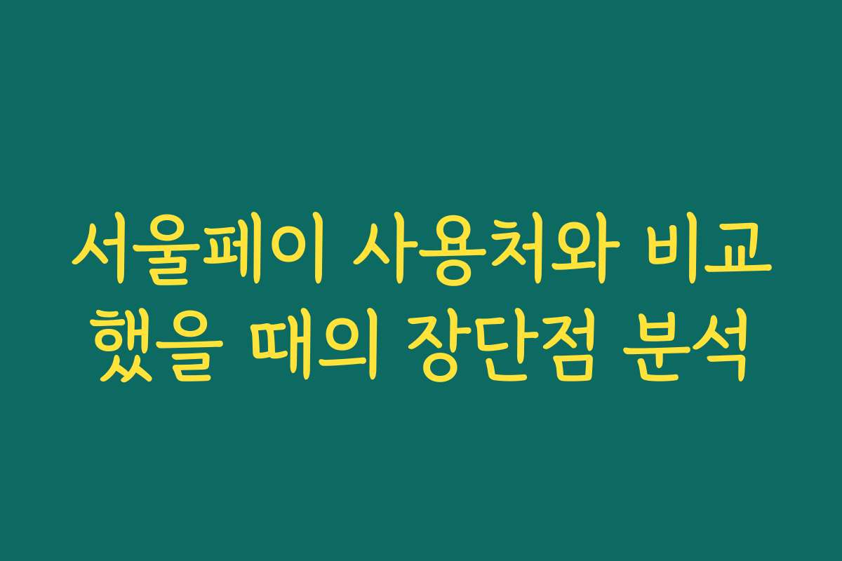 서울페이 사용처와 비교했을 때의 장단점 분석