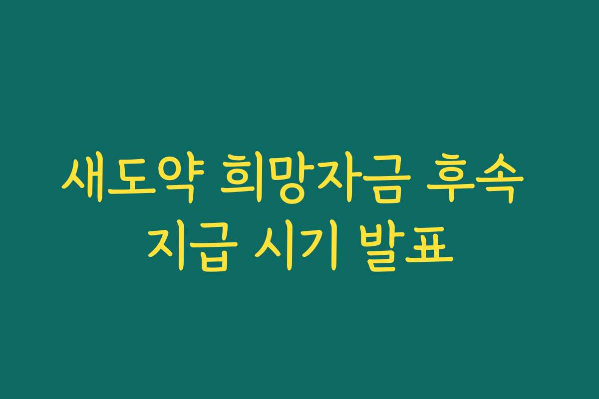 새도약 희망자금 후속 지급 시기 발표