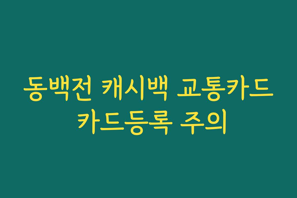 동백전 캐시백 교통카드 카드등록 주의 동백전 캐시백 교통카드 카드등록 주의