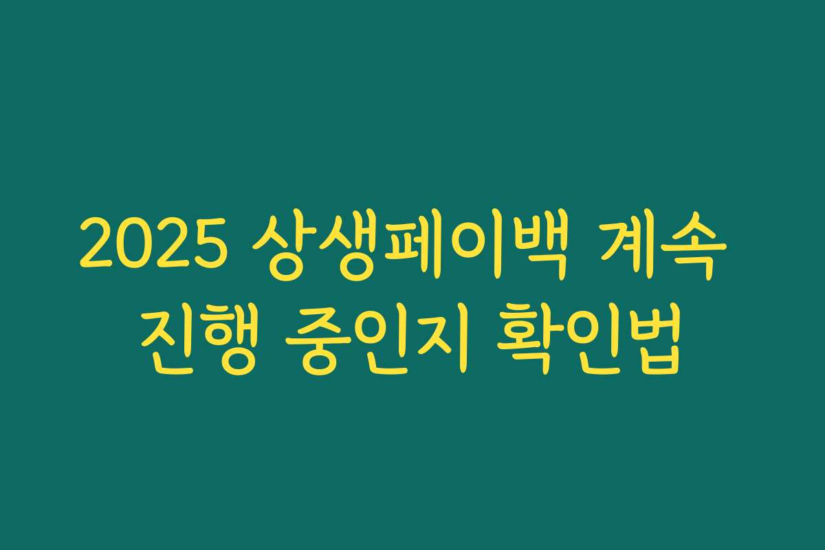 2025 상생페이백 계속 진행 중인지 확인법 2025 상생페이백 계속 진행 중인지 확인법