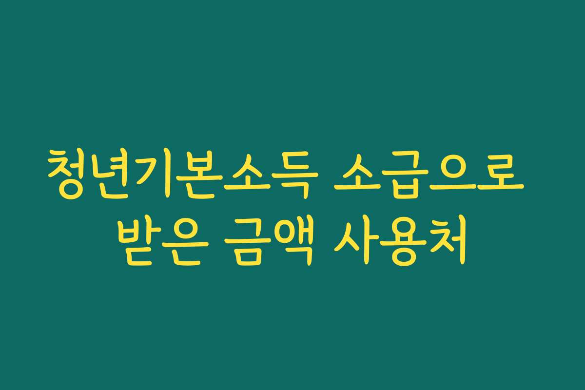 청년기본소득 소급으로 받은 금액 사용처