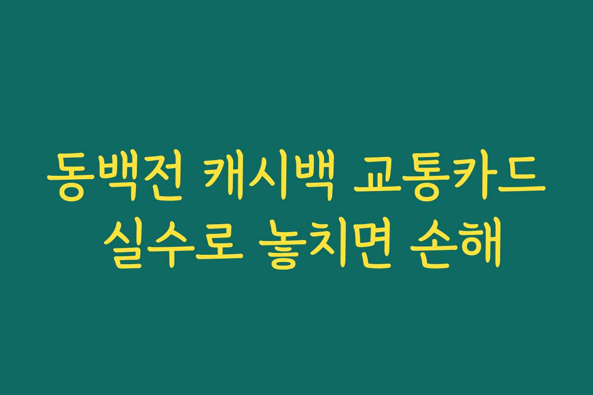 동백전 캐시백 교통카드 실수로 놓치면 손해 동백전 캐시백 교통카드 실수로 놓치면 손해
