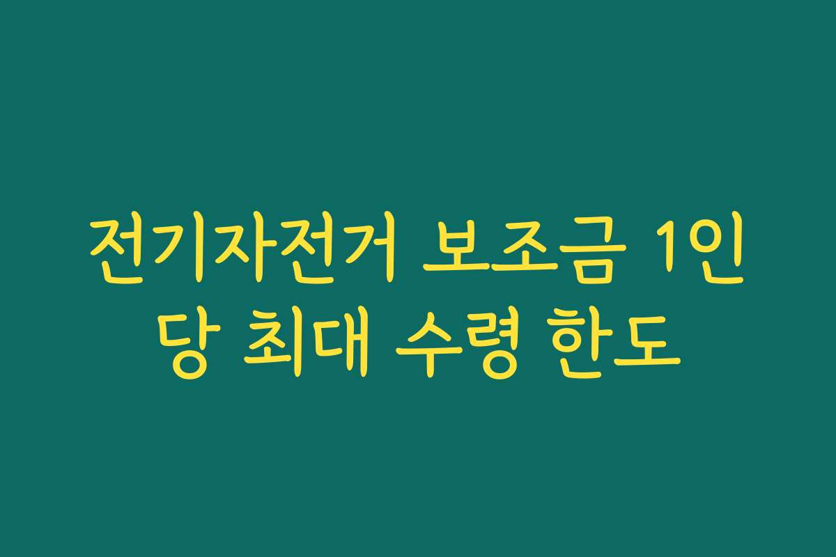 전기자전거 보조금 1인당 최대 수령 한도