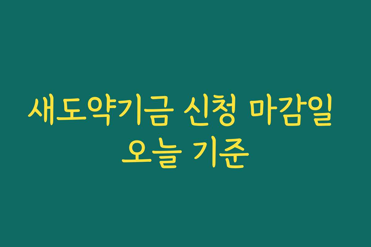 새도약기금 신청 마감일 오늘 기준