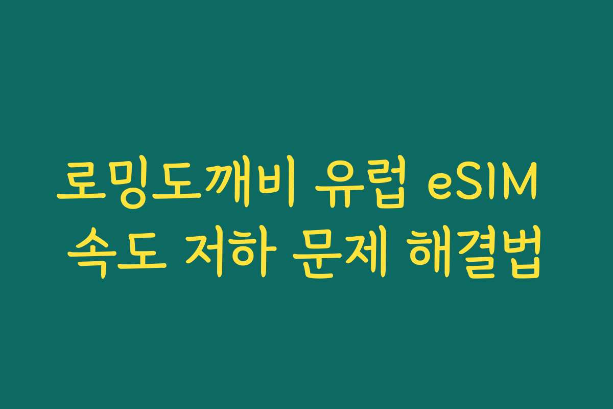 로밍도깨비 유럽 eSIM 속도 저하 문제 해결법