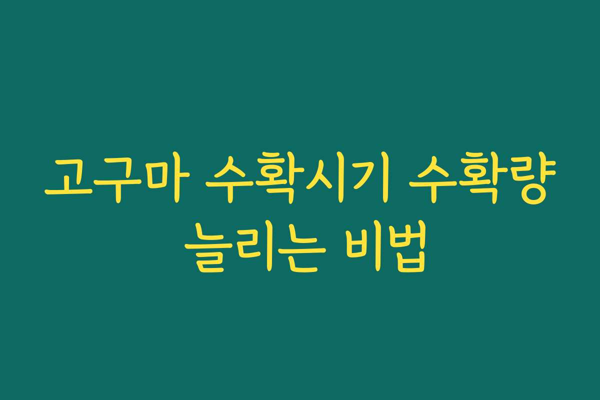고구마 수확시기 수확량 늘리는 비법