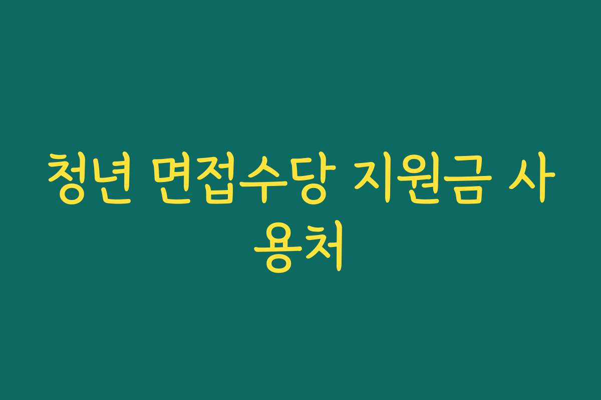 청년 면접수당 지원금 사용처