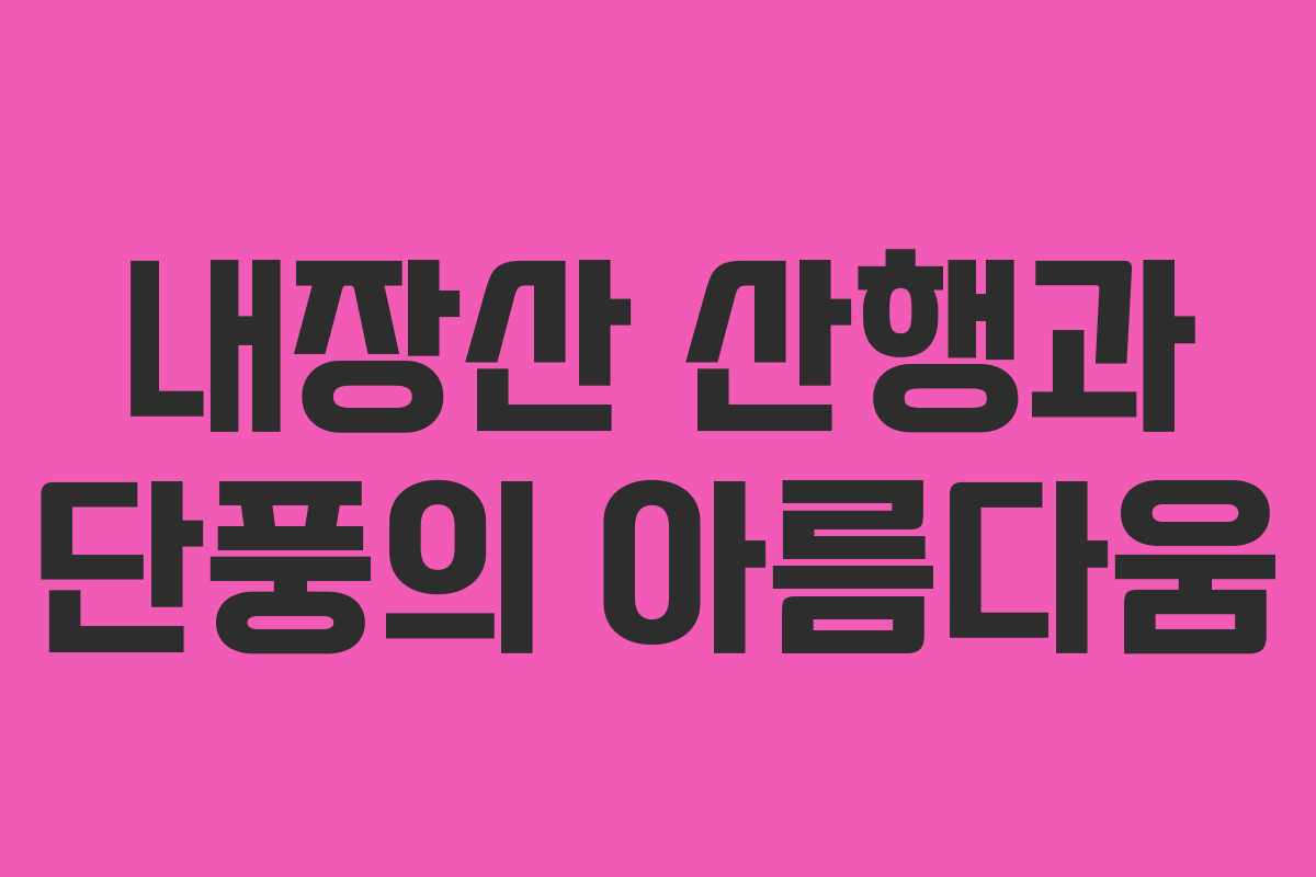 내장산 산행과 단풍의 아름다움