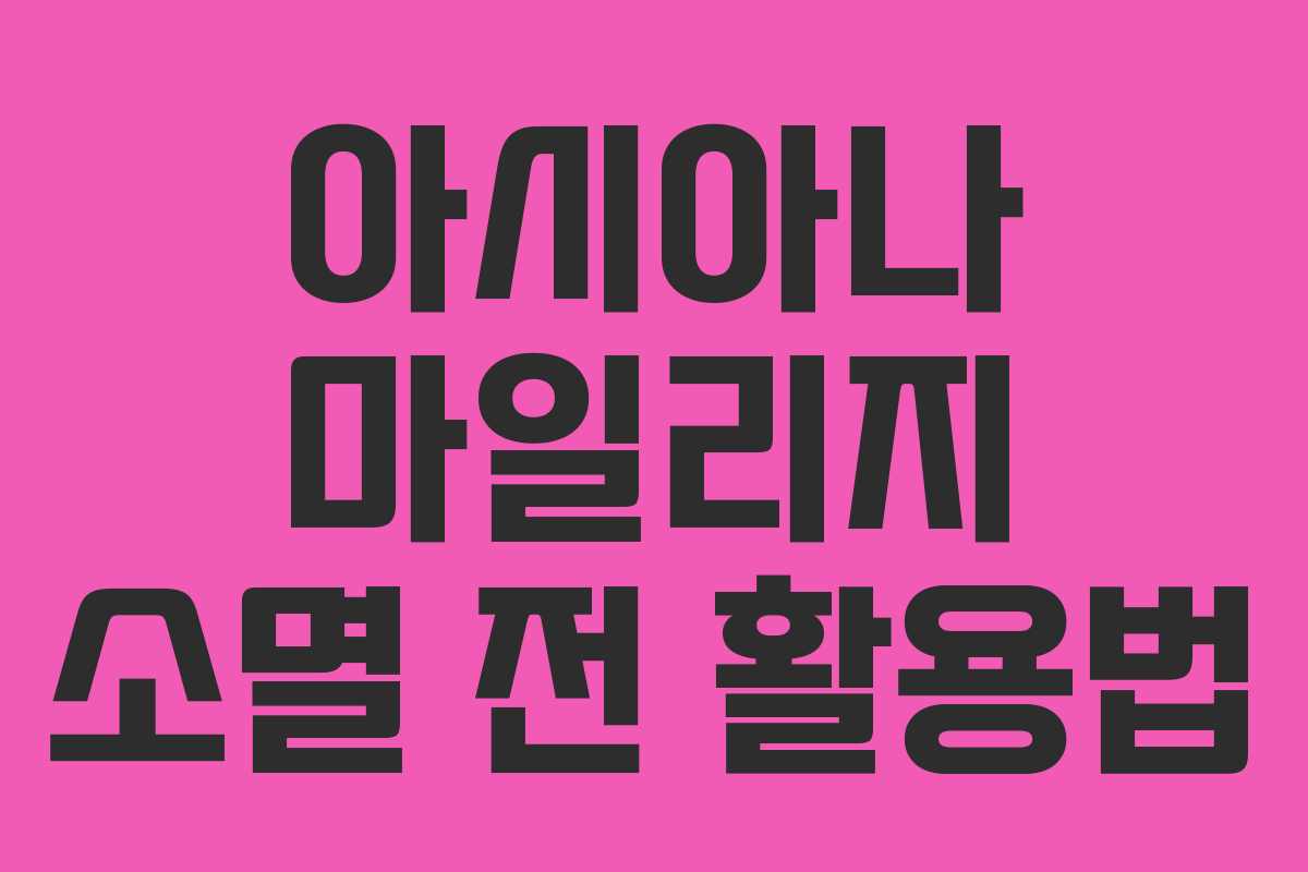 아시아나 마일리지 소멸 전 활용법 아시아나 마일리지 소멸 전 활용법