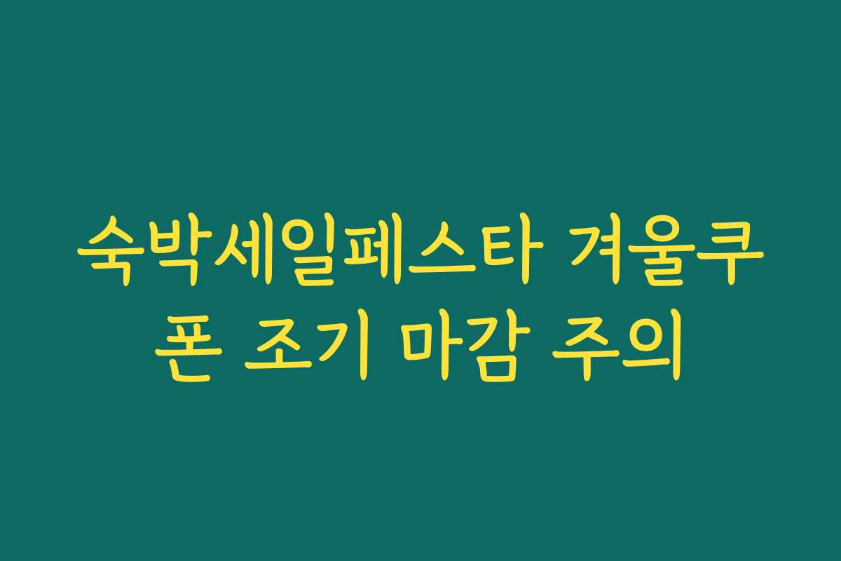 숙박세일페스타 겨울쿠폰 조기 마감 주의