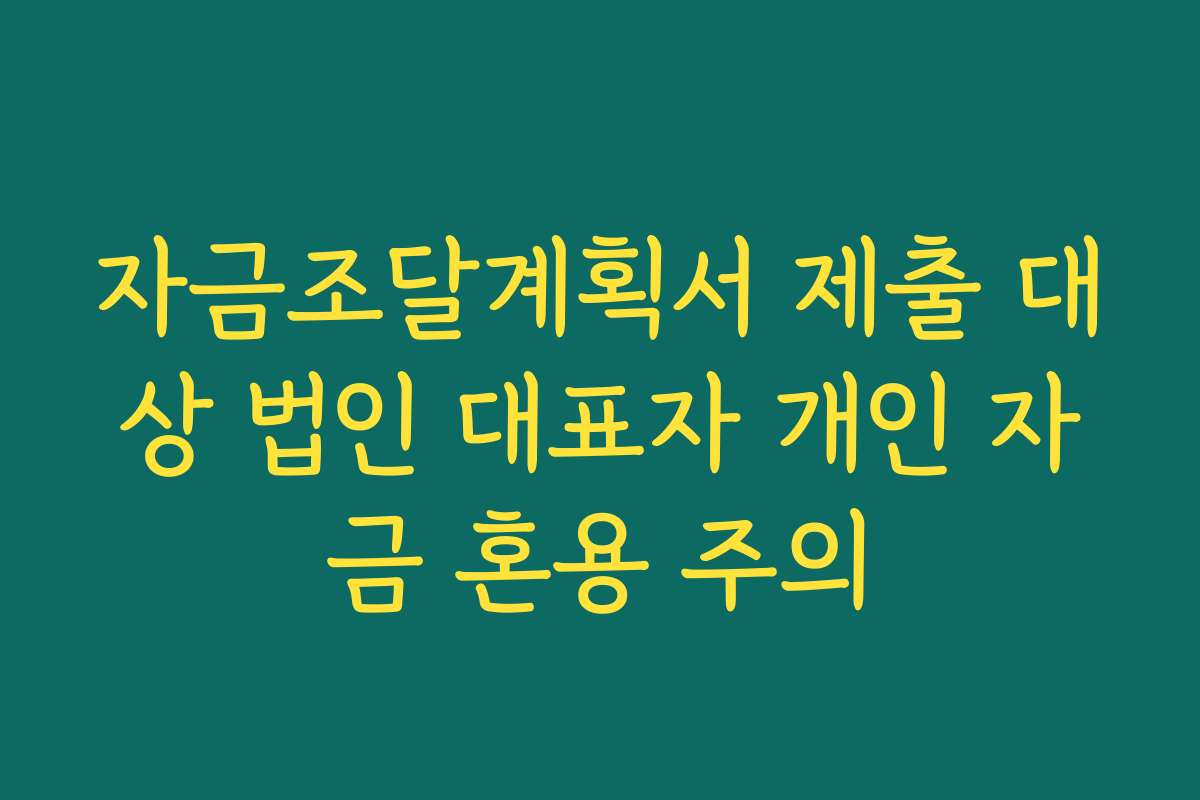자금조달계획서 제출 대상 법인 대표자 개인 자금 혼용 주의