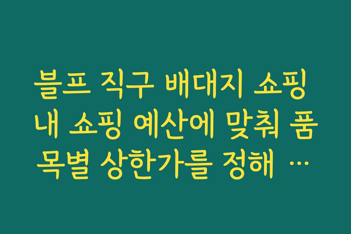 블프 직구 배대지 쇼핑 내 쇼핑 예산에 맞춰 품목별 상한가를 정해 과소비 막는 체크리스트