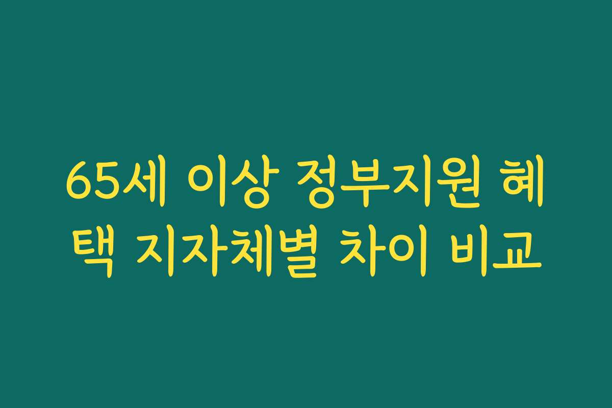 65세 이상 정부지원 혜택 지자체별 차이 비교
