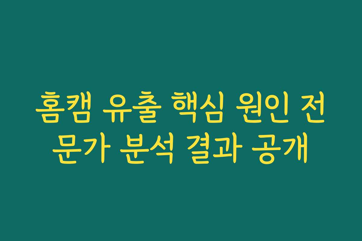 홈캠 유출 핵심 원인 전문가 분석 결과 공개