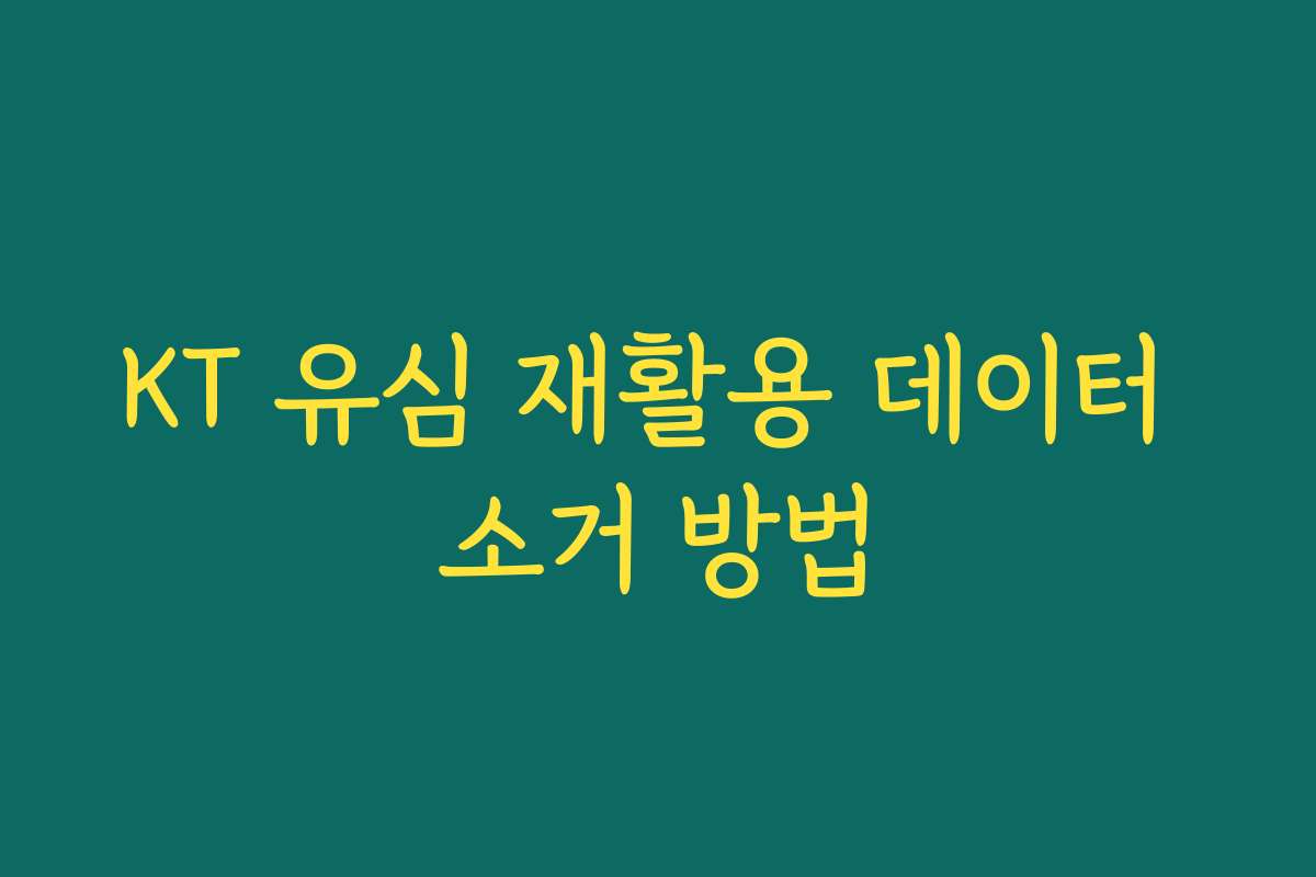 KT 유심 재활용 데이터 소거 방법