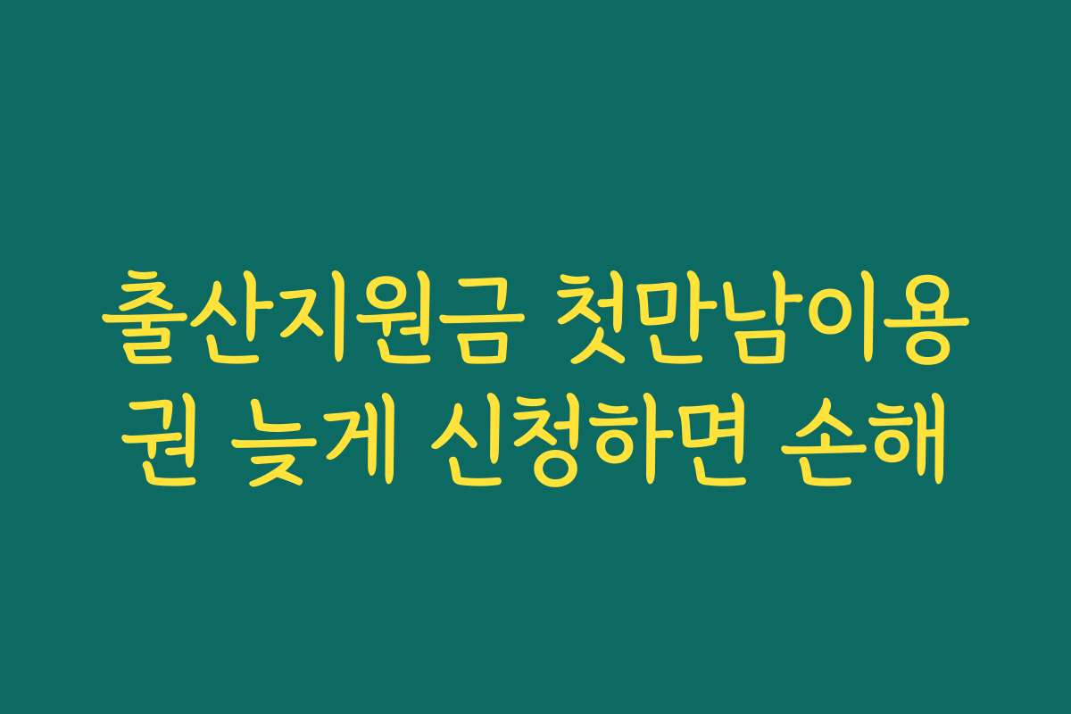 출산지원금 첫만남이용권 늦게 신청하면 손해