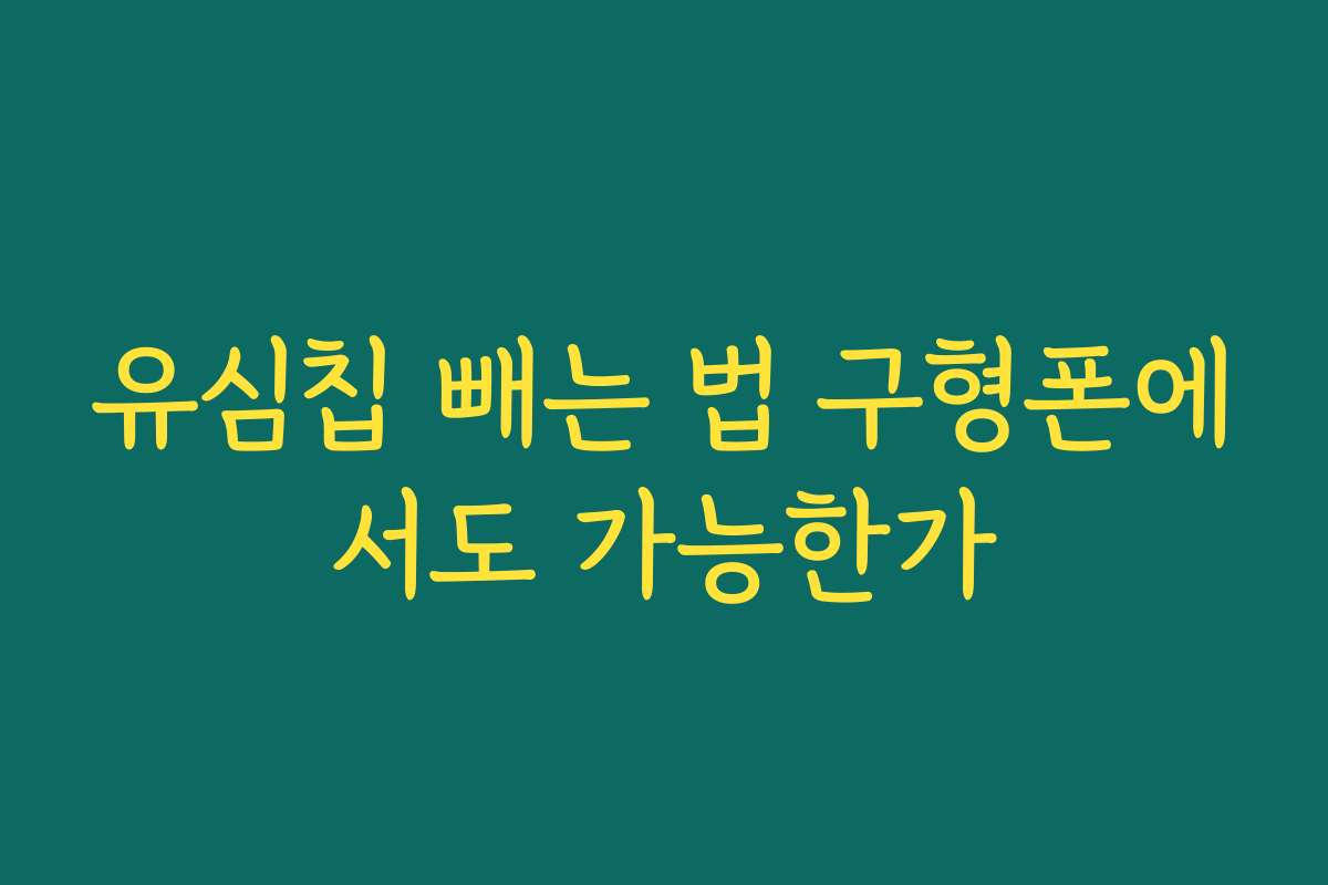 유심칩 빼는 법 구형폰에서도 가능한가