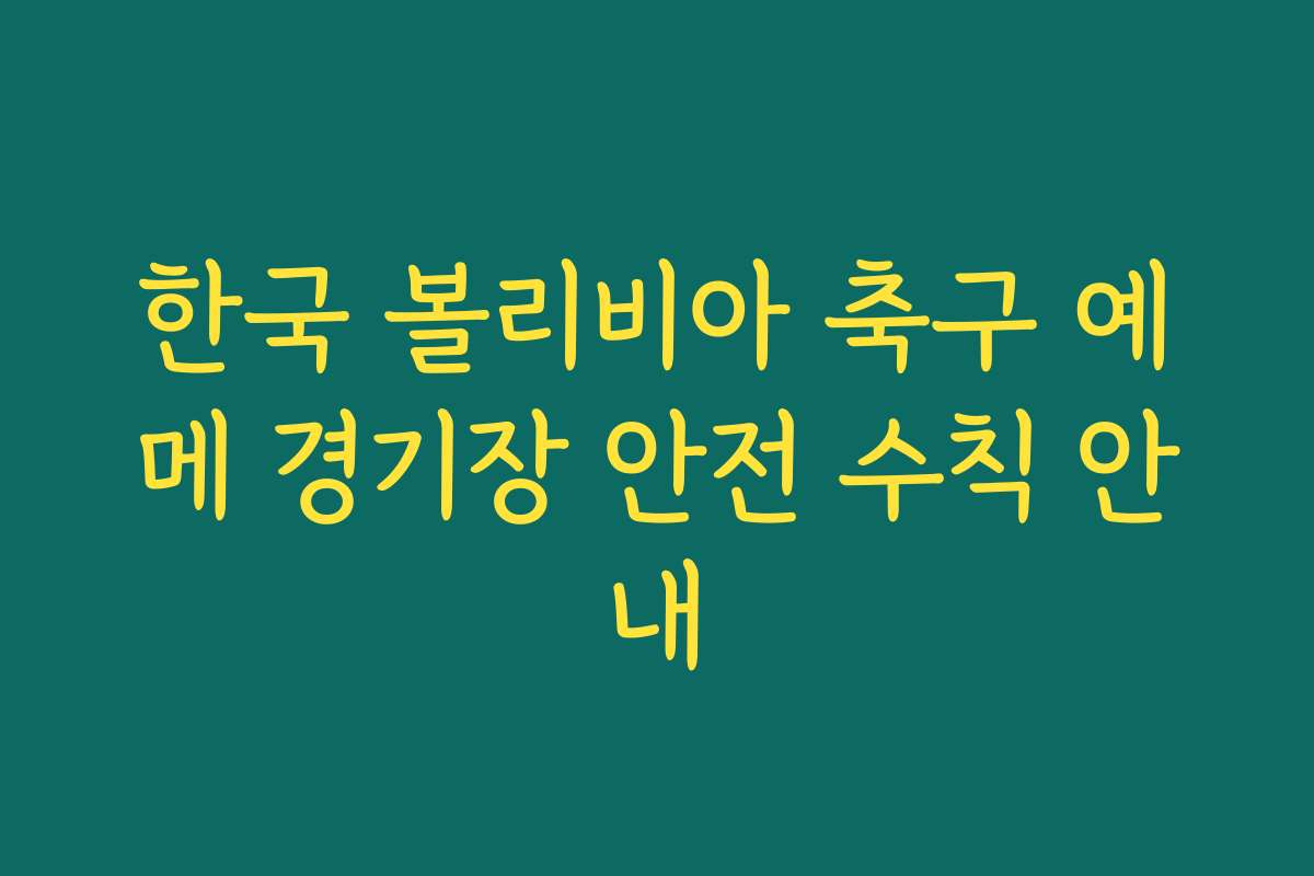 한국 볼리비아 축구 예메 경기장 안전 수칙 안내