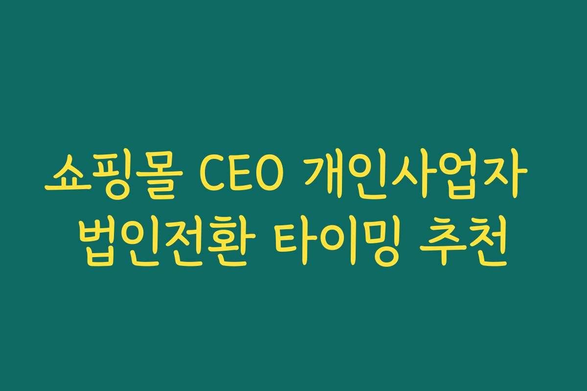 쇼핑몰 CEO 개인사업자 법인전환 타이밍 추천