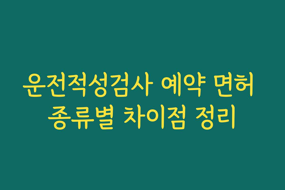 운전적성검사 예약 면허 종류별 차이점 정리