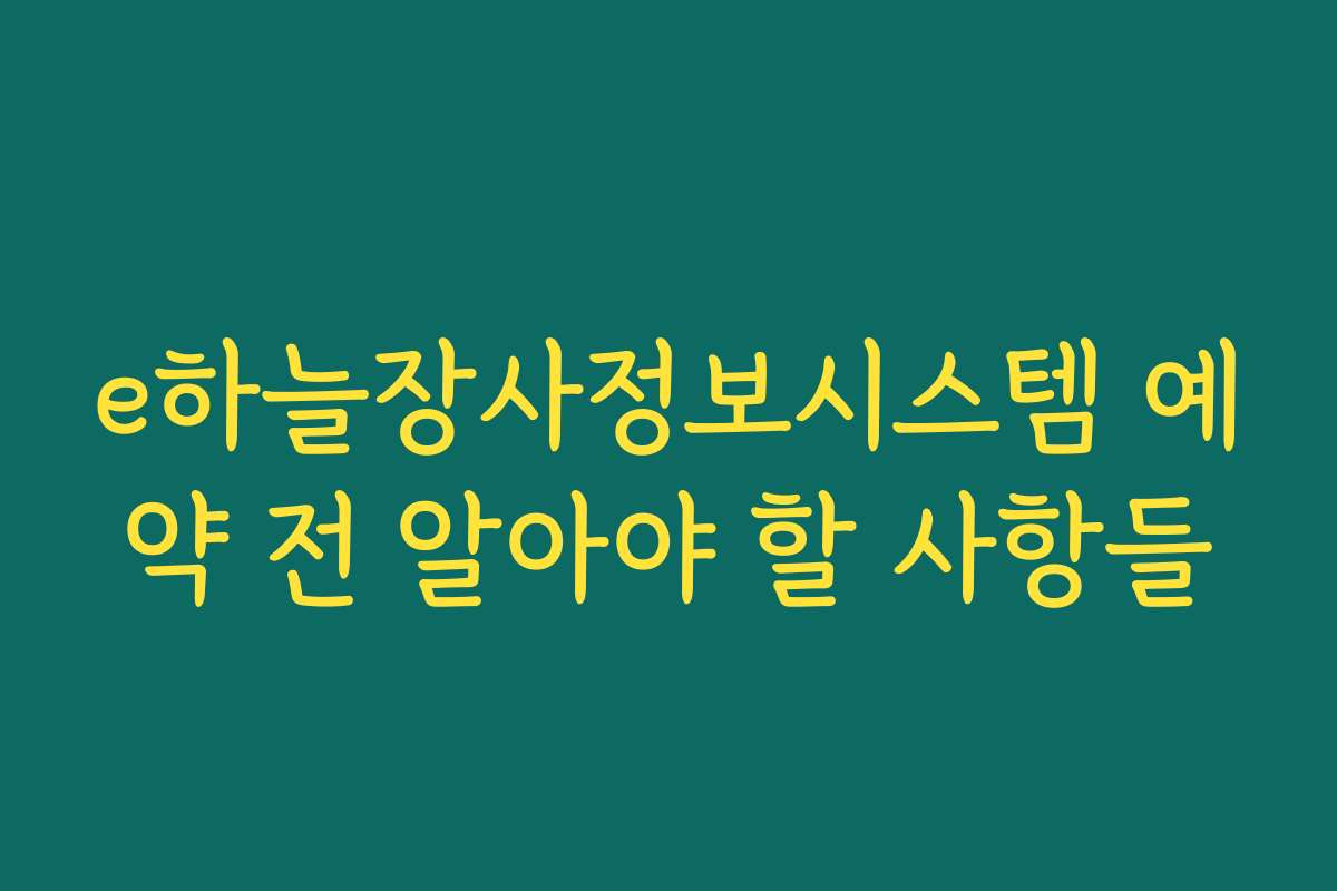 e하늘장사정보시스템 예약 전 알아야 할 사항들
