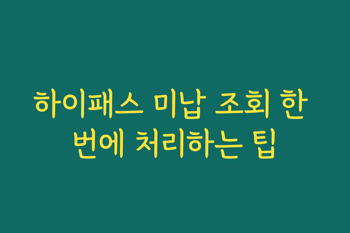 하이패스 미납 조회 한 번에 처리하는 팁