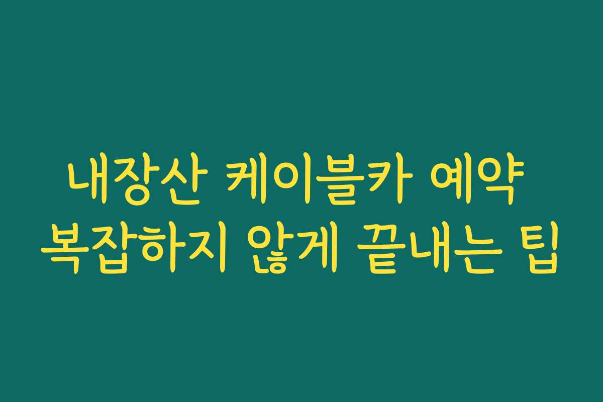 내장산 케이블카 예약 복잡하지 않게 끝내는 팁