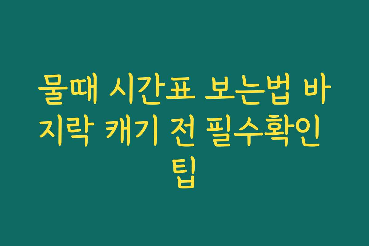 물때 시간표 보는법 바지락 캐기 전 필수확인 팁